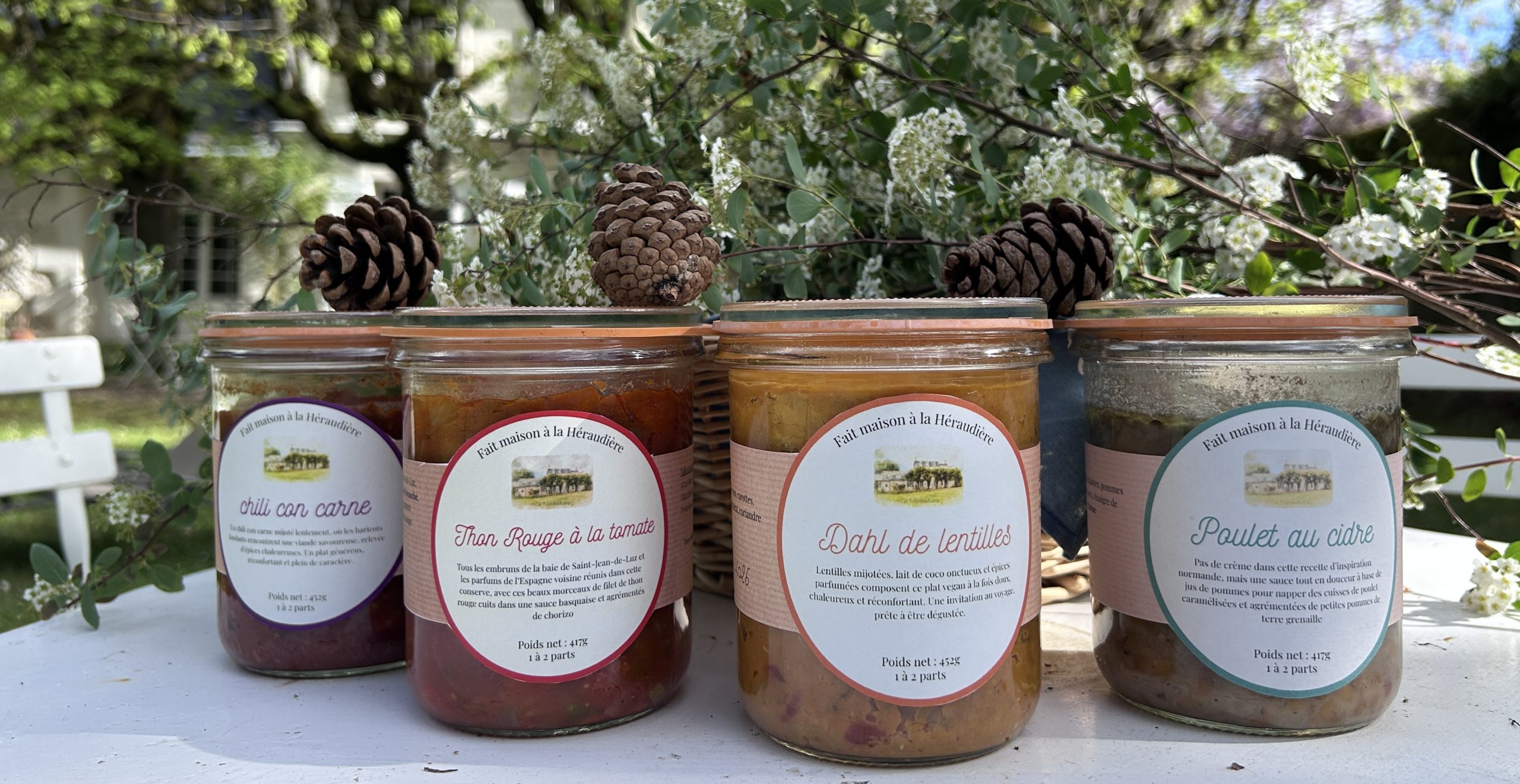 Bed and Breakfast Tours Loire Valley France